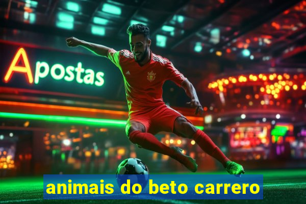 animais do beto carrero